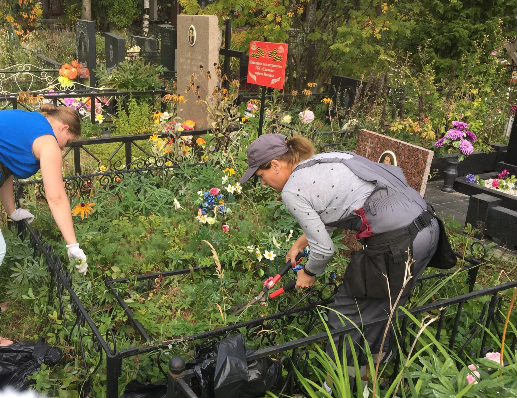 Прополка сорняков Прополка сорняков